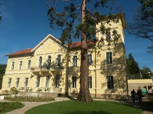 Dvorac - Vila Lubienski